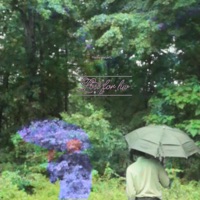 Lost for Luv - Werdoe