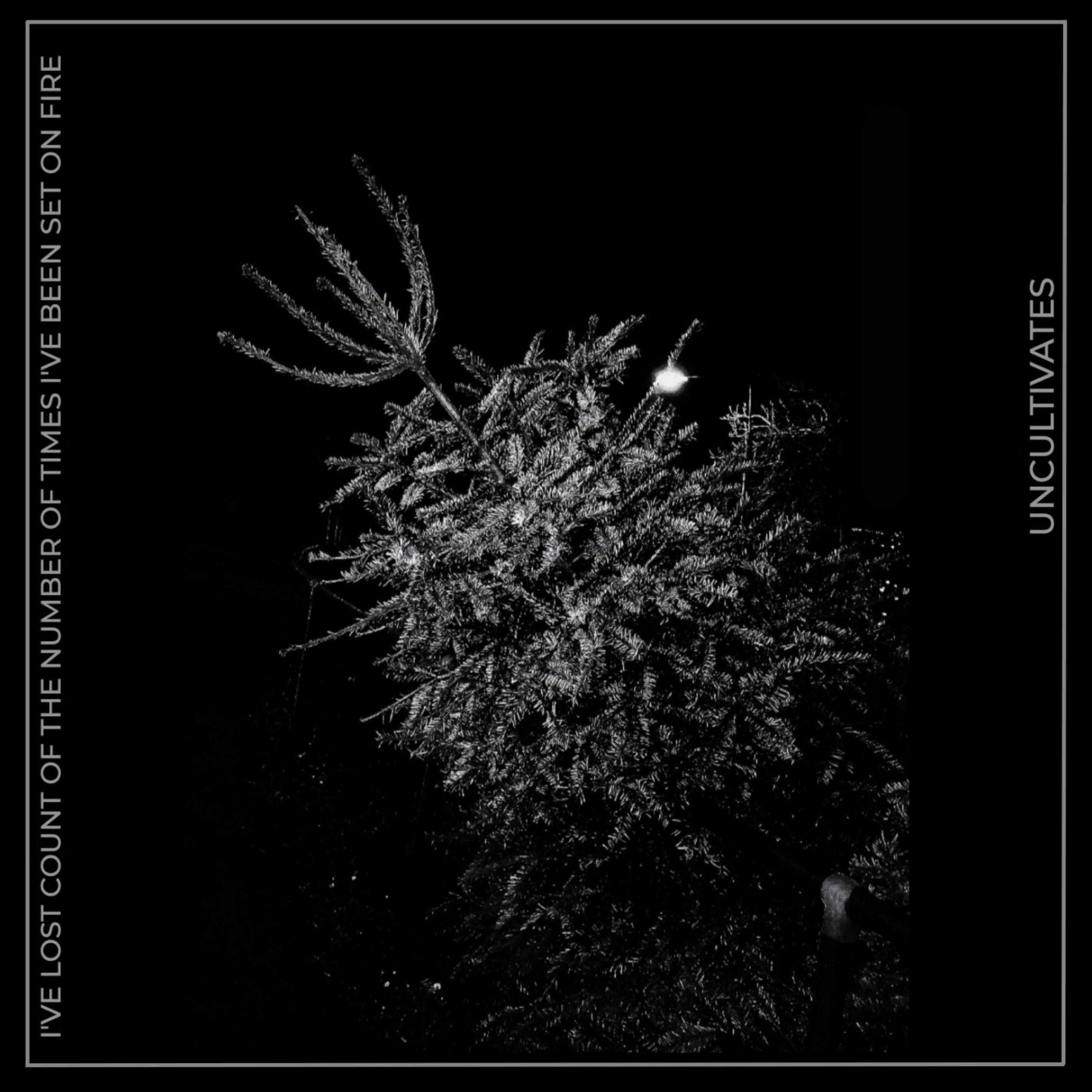 I've Lost Count of the Number of Times I've Been Set On Fire - Single