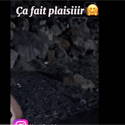 Studio Metalika Marhoum - Kolchi Tbedel Lyoum (Live)