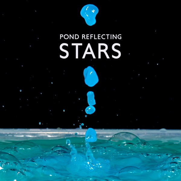 Pond Reflecting Stars