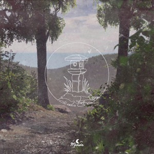 Continual - Single