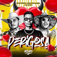 Perigosa - Single - Biu do Piseiro, DJ Jhow Beats & Sharyann Gabriel