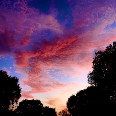 Used 2 (feat. Zateb) - Single