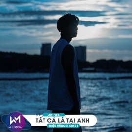Tất Cả Là Tại Anh (Lofi Ver.) Triệu Hùng & Cryz T
