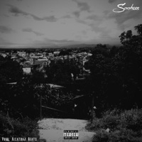 Nadie sabe lo que quiero - Single - Saahoos