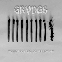 Memories Fade, Scars Remain - Single - GRVDGE