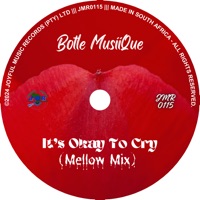 It's Okay to Cry - Single - Botle MusiiQue