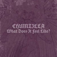 What Does It Feel Like? - Single - Chumzilla