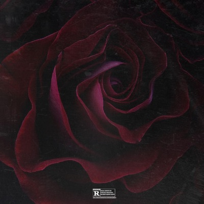 Breezy Official - Him Or Me