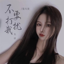 不要打扰我生活 (伴奏) 张大美