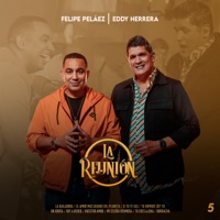 La Reunión 5 : La Bailadora / El Amor Más Grande del Planeta / Si Tu Te Vas / Tu Hombre Soy Yo / Un Idiota / Voy a Beber / Nuestro Amor / Mi Celosa Hermosa / Tú Eres Ajena / Borracha (En Vivo) - EP - La Reunión, Felipe Peláez & Eddy Herrera