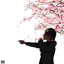 Wya? (feat. Hølden) [Remix] Ziah TL