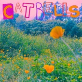 Catbells - Leaves