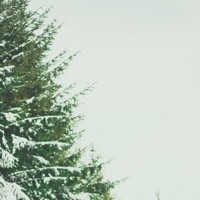 Love Like Kids - Single - GRAHAM