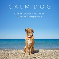 Ocean Sounds - Little Hunters Beach