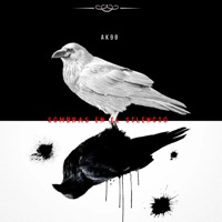 Sombras en el Silencio - Single - Ak98