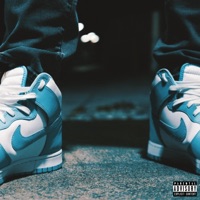 Powder Blue Nike Dunks - Single - Sem