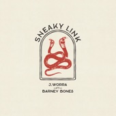 Sneaky Link (feat. Barney Bones) artwork