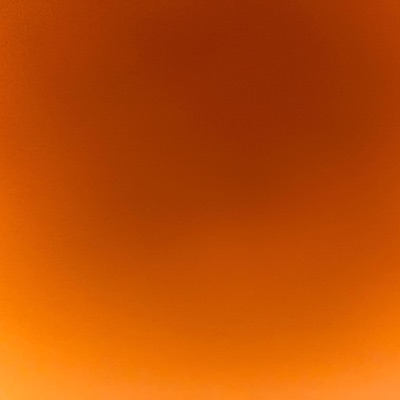 Palm trees (feat. S4.shotzz) - Single