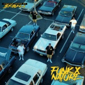 Funk X Nature artwork