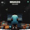 442 (feat. Soulking) - Mshizo lyrics