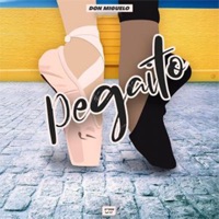 Pegaito - Single - Don Miguelo