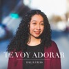 Te Voy Adorar