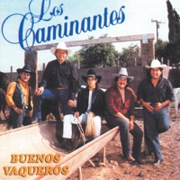 UN AMIGO DE VERDAD