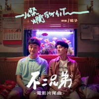 燦爛的你 (《不二兄弟》電影片尾曲) - Single - Stringer