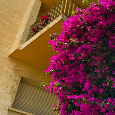 LOVE IRATIONNEL - Single