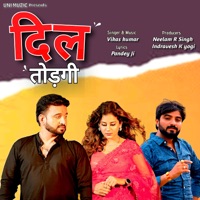 Dil Todgi - Single - Vikas Kumar
