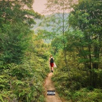 Live Forever - Single - viaable