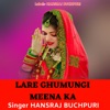 LARE GHUMUNGI MEENA KA - Single