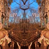 Need some time Alone - Single - xJordo & Half Wit