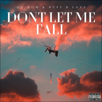 Dont let me Fall - Single