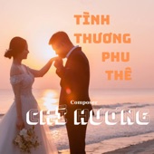 Tình Thương Phu Thê artwork