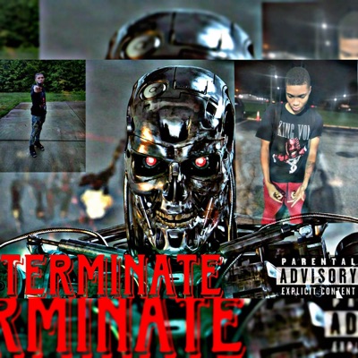 Terminate - Single