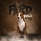 Pitbull (feat. Gorex) - Fard lyrics