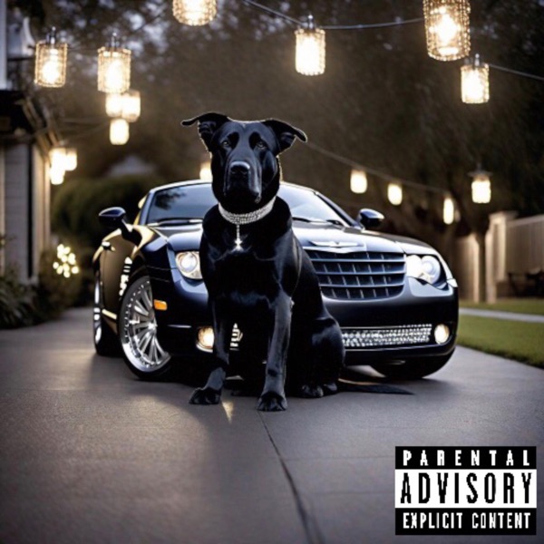 King Dave - Racks