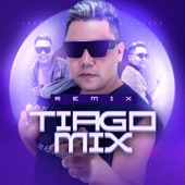 DEIXA EU BOTAR MEU BONECO (Remix Tiago Mix) artwork