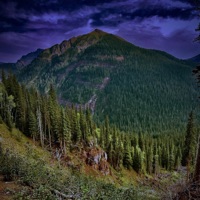 Agent Brown - Single - Crypto Moya