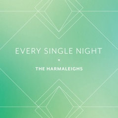 Every Single Night - Single