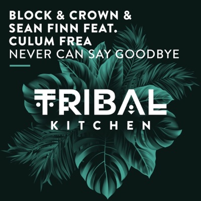 Never Can Say Goodbye (feat. Culum Frea) [Radio Edit] - Single