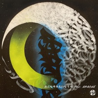 みんなその気になりゃ feat. APACHE - Single - Fuwa