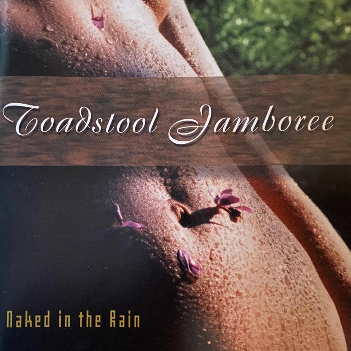 Naked in the Rain - Album by Toadstool Jamboree - Apple Music