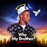 Why My Brother? - Single - Neliy Ridiim