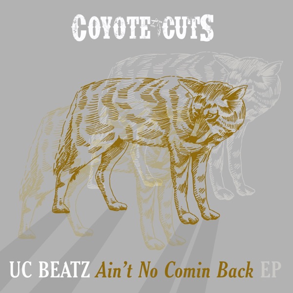 Ain't No Comin Back - Single