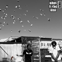 Birds Flying High (feat. Rush33) - Single - Mo Dollaz