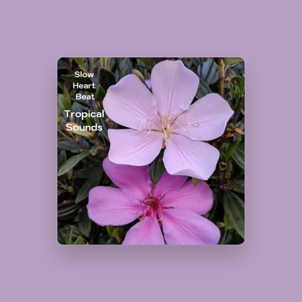 Slow Heart Beat's avatar