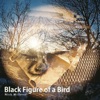 Black Figure of a Bird - EP